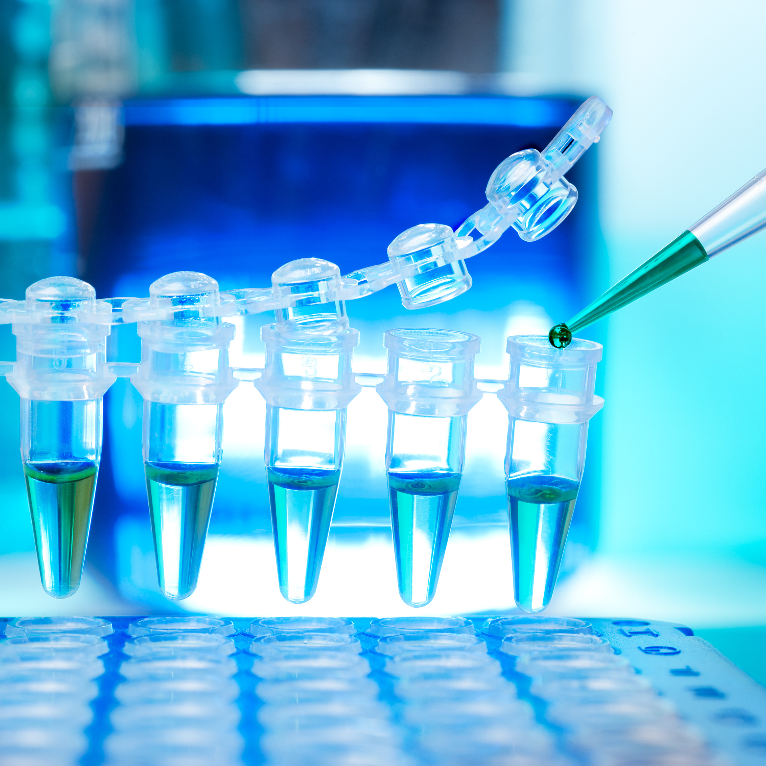 Certified pathologist examining test results in a modern laboratory